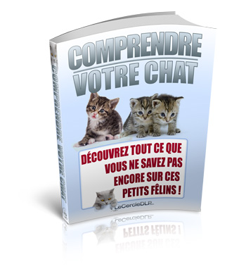 Comprendre Votre Chat